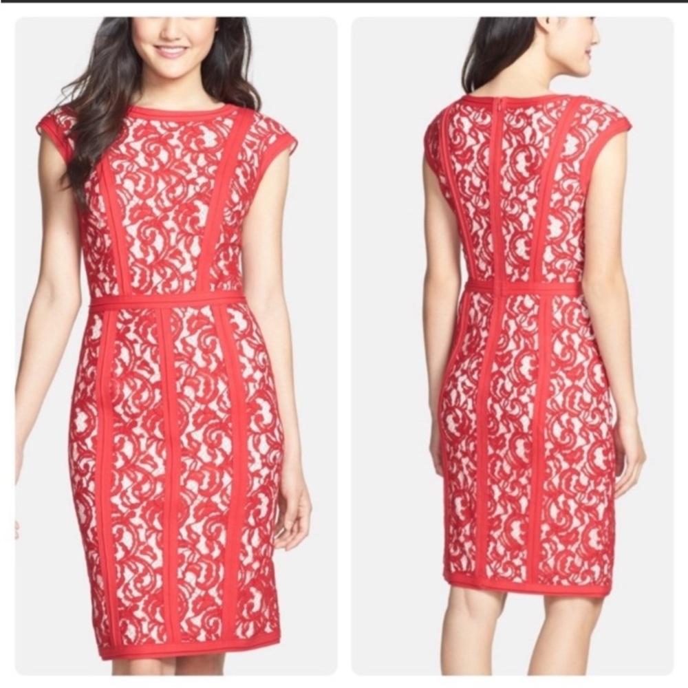Tadashi Shoji Corded Lace Sheath Dress